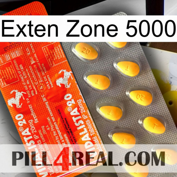 Exten Zone 5000 new01.jpg